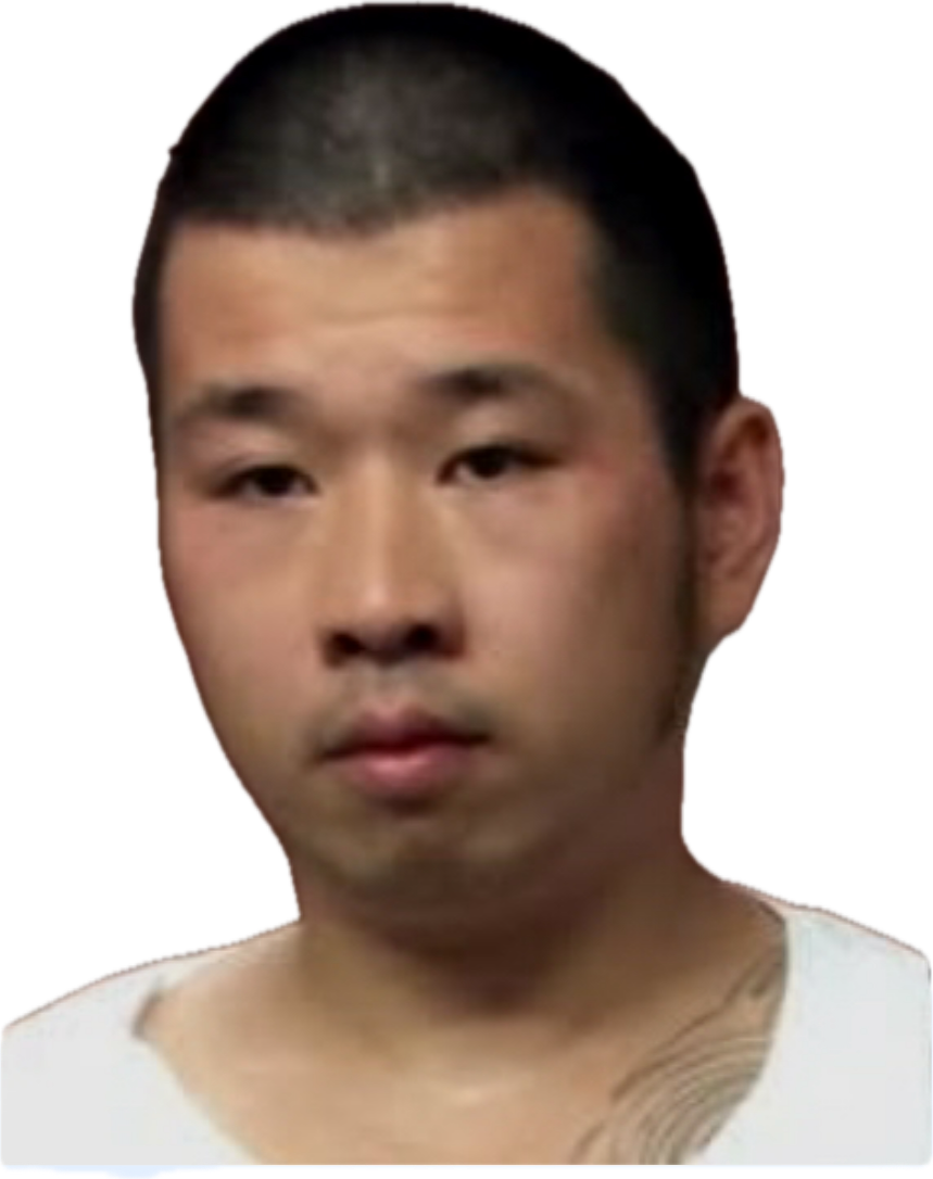 qiqi